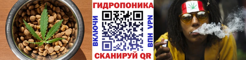 Печенье с ТГК марихуана блэк спрут как войти Елец