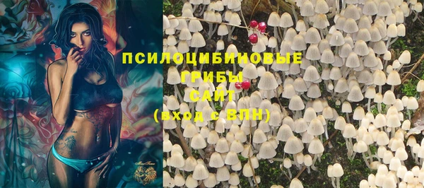 круглые Алзамай