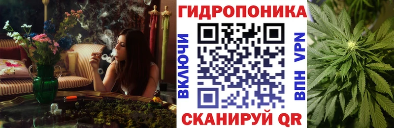 Конопля сатива Елец
